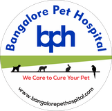 Bangalore Pet Hospital